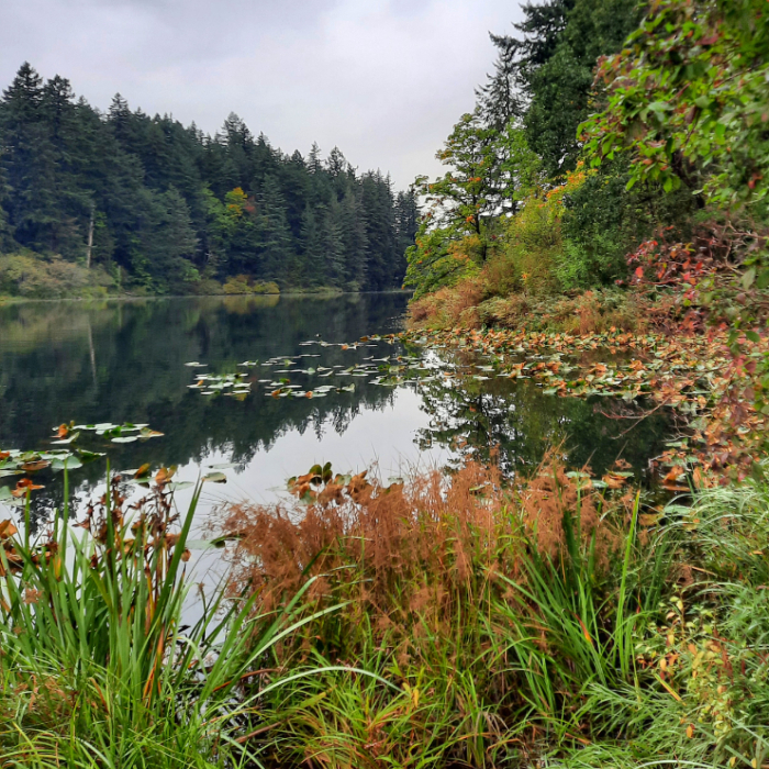 Fallen Leaf Lake Park